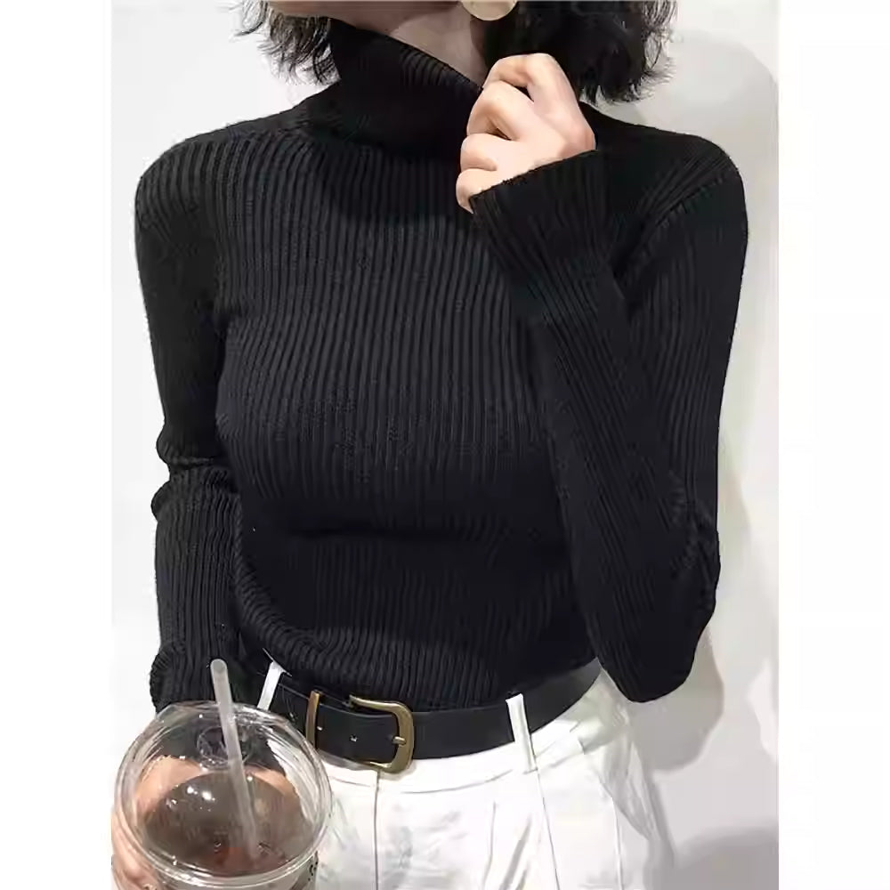 Elegant Rib Turtleneck