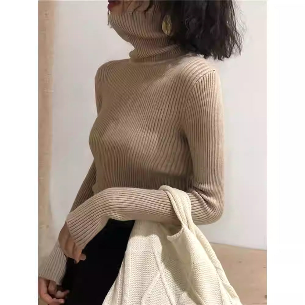 Elegant Rib Turtleneck